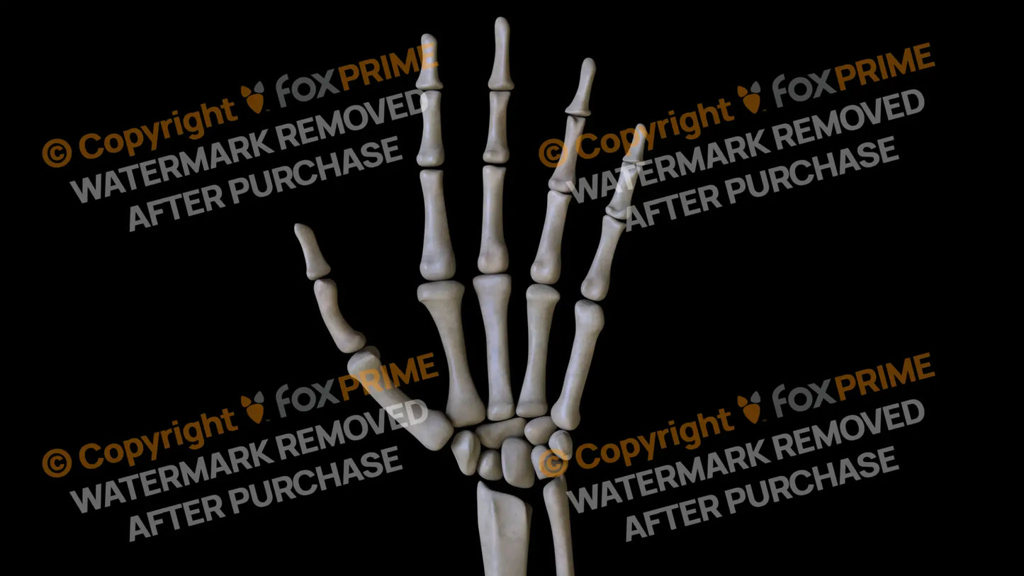 Carpals 4 (Left) Still Shot