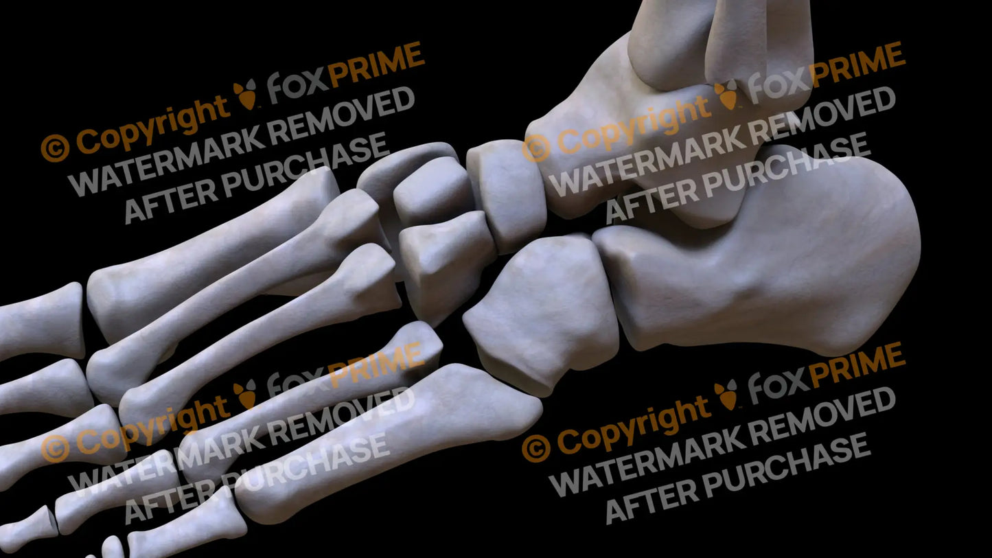 Cuboid (Left) Still Shot