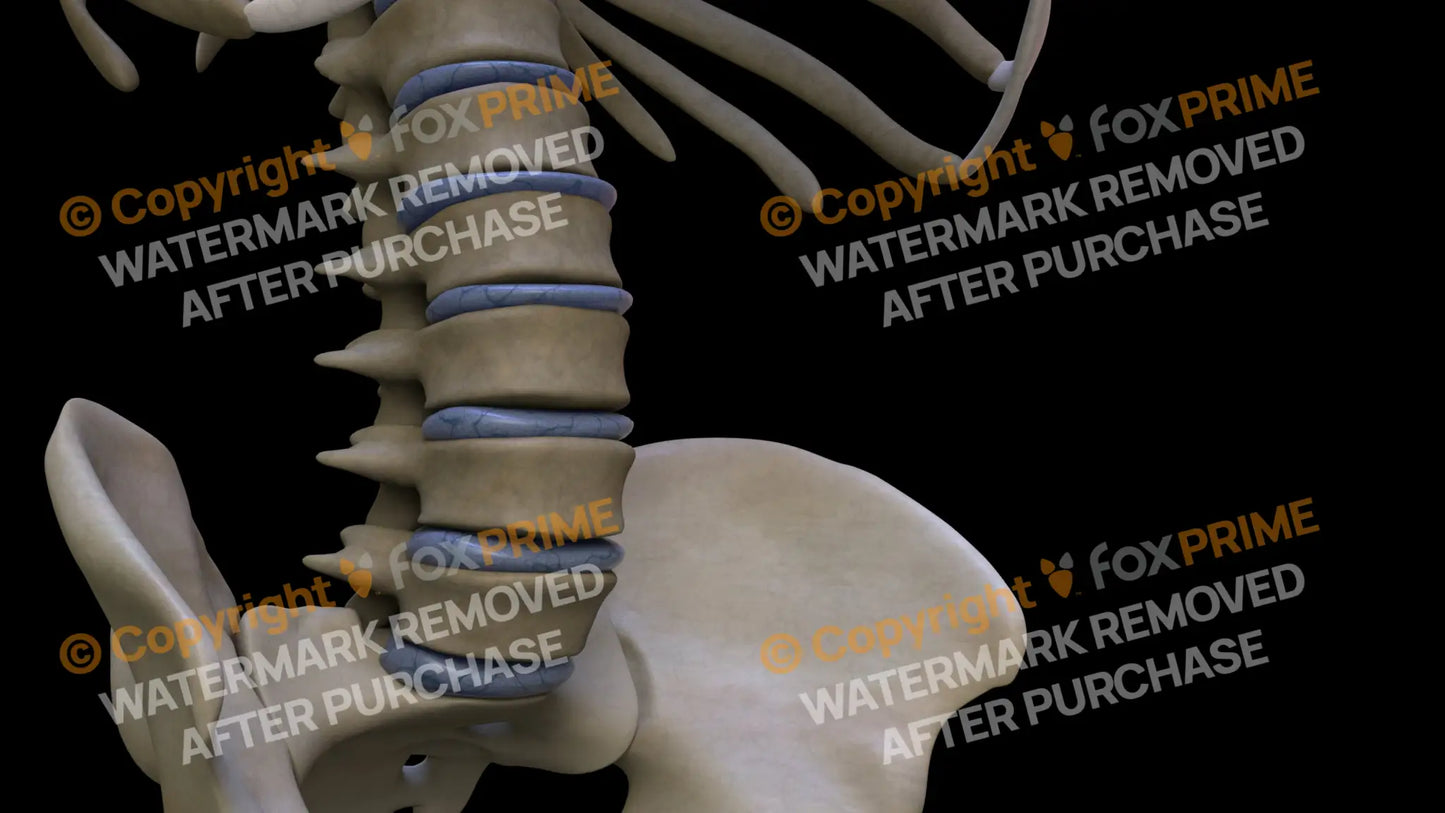 Disc L1 (Right) Still Shot