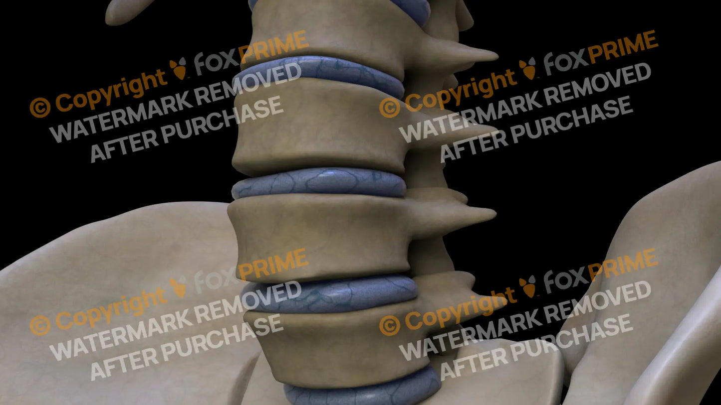 L04 2 (Left) Still Shot