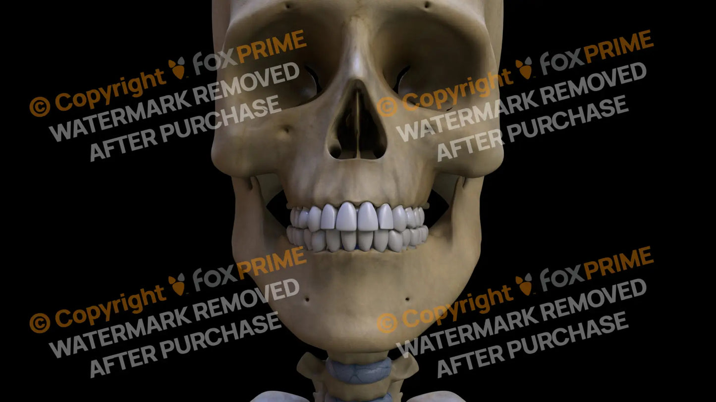 Mandible 2 Still Shot