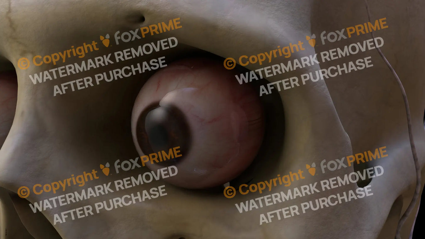 Nervous System Eye Left 3 Still Shot