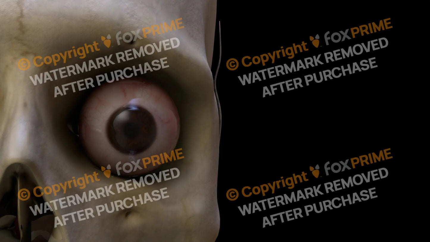 Nervous System Eye Left 4 Still Shot