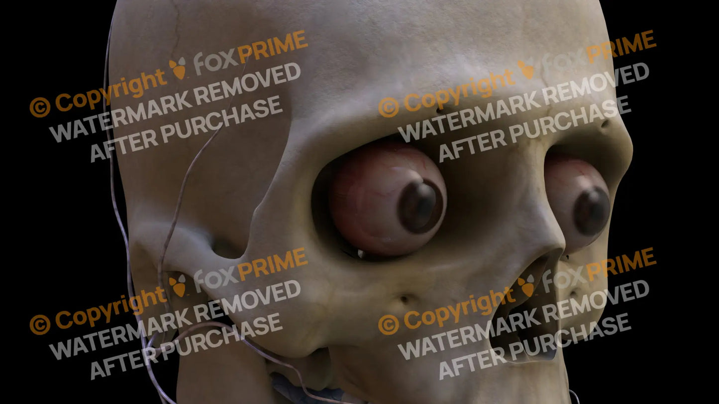 Nervous System Eye Right 3 Still Shot