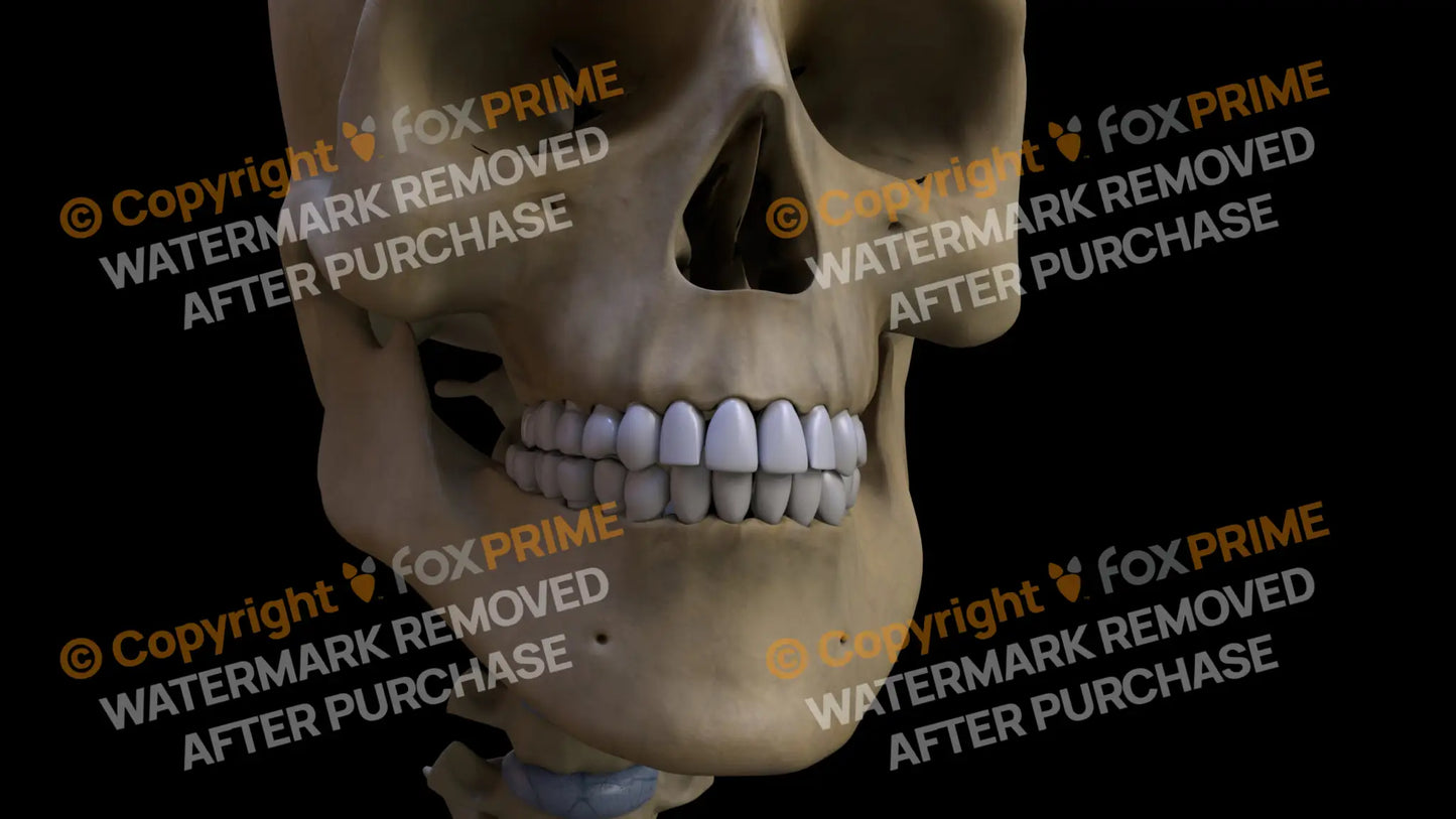 Teeth 2 (Right) Still Shot