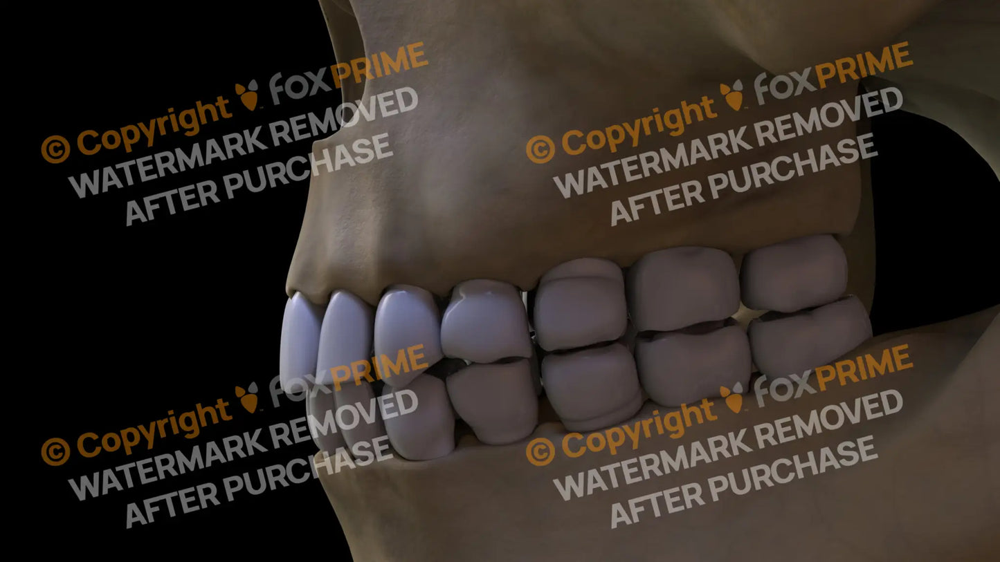 Teeth 3 (Left) Still Shot