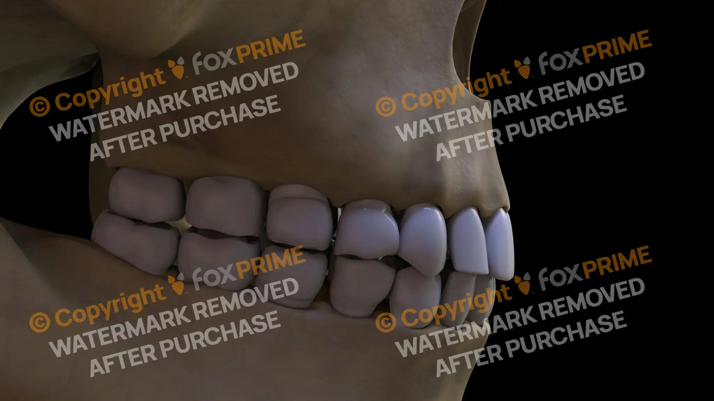 Teeth 3 (Right) Still Shot