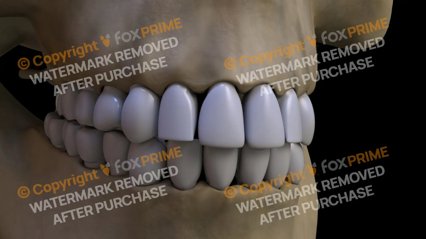 Teeth 4 (Right) Still Shot