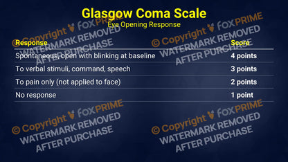 Glasgow Coma Scale (PowerPoint) Still Shot
