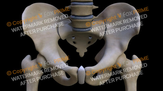 Hip Still Shot
