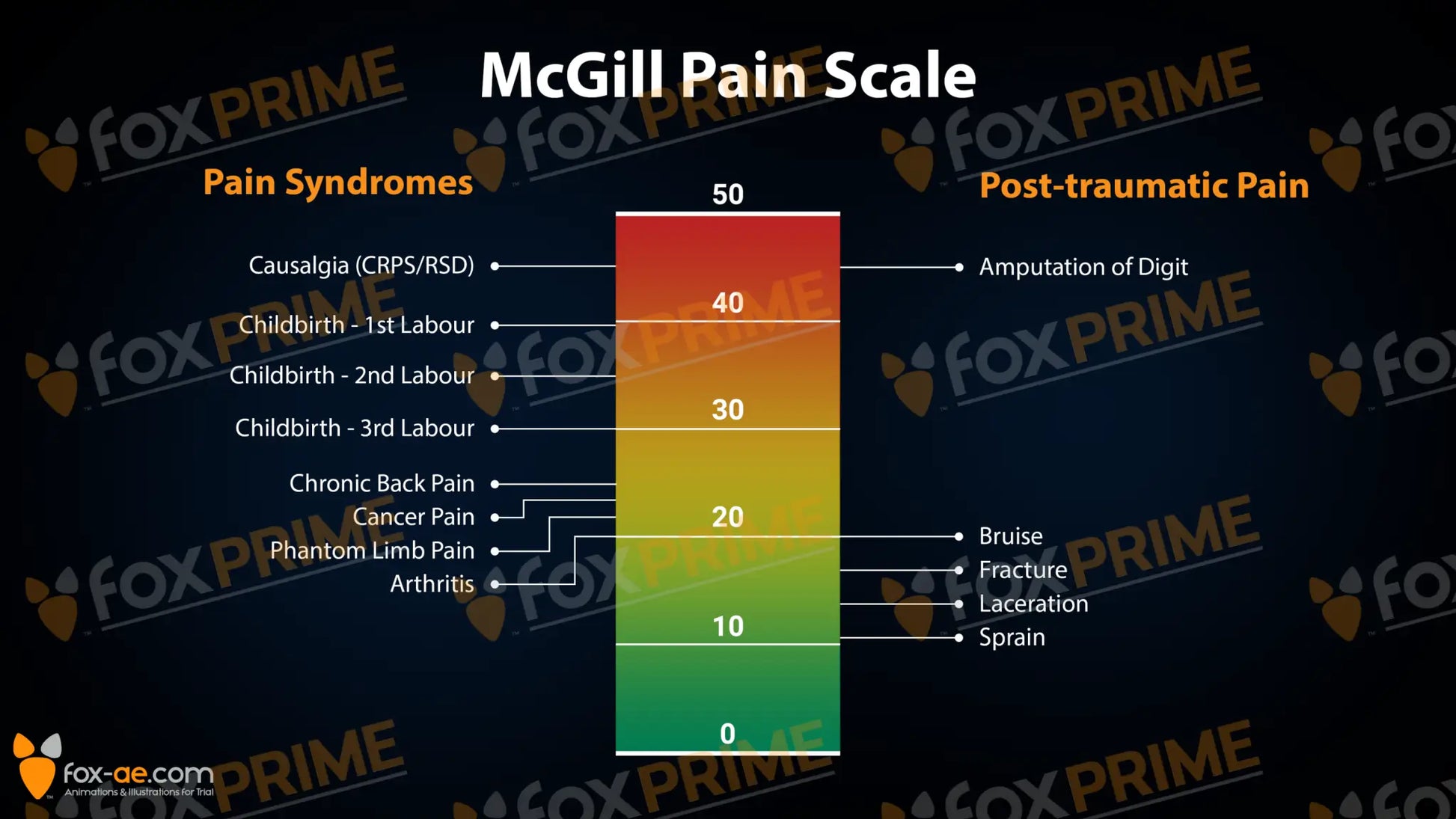 Mcgill Pain Scale Still Shot