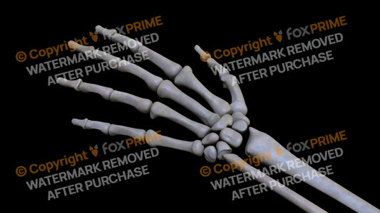 Metacarpal 03 (Left) Still Shot