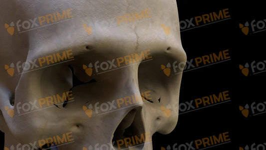 Nasal Bone 2 (Right) Still Shot