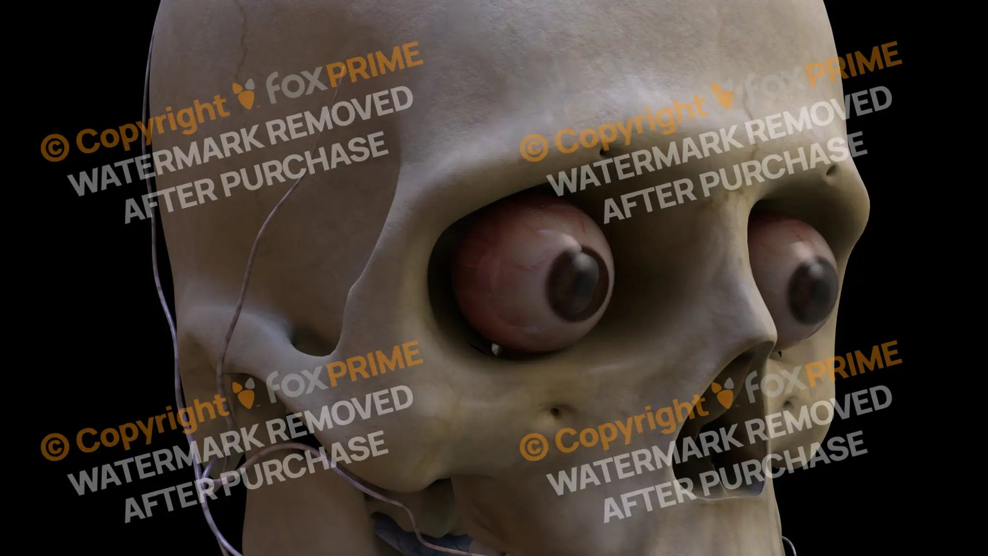 Nervous System Eye Right 3 Still Shot