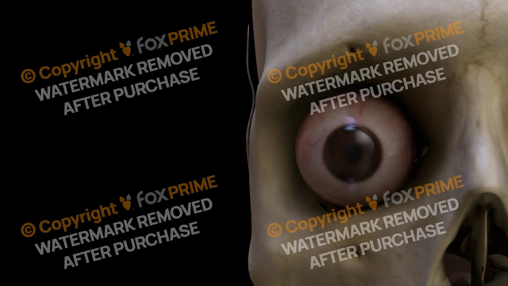 Nervous System Eye Right 5 Still Shot