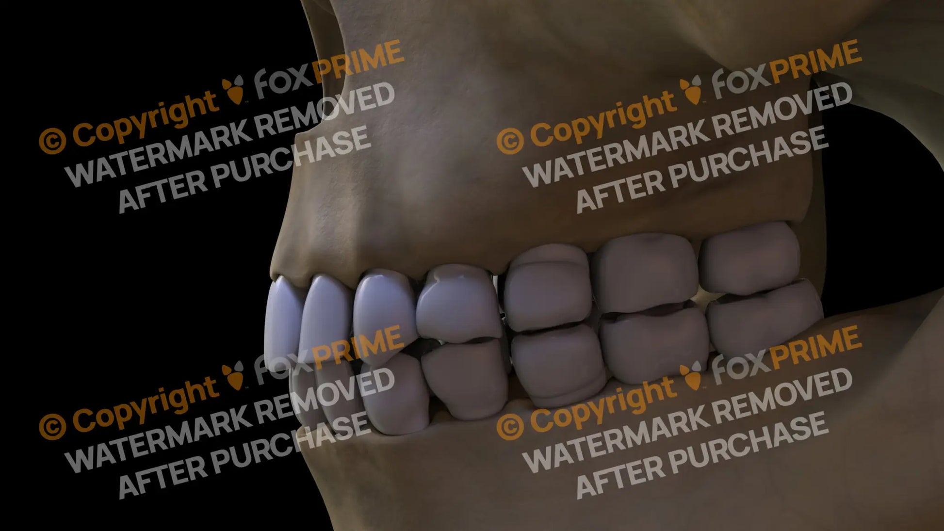 Teeth 3 (Left) Still Shot