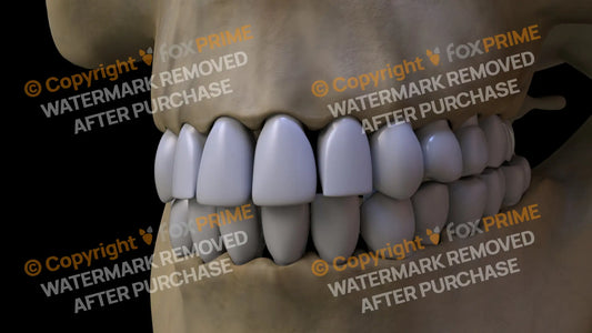Teeth 4 (Left) Still Shot